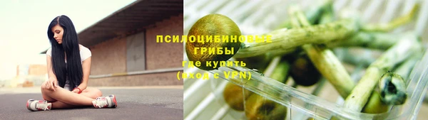 шишки Волоколамск